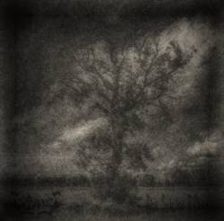 Give Suicide a Chance